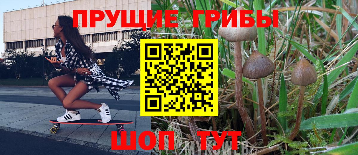 Галлюциногенные грибы Cubensis  Вход с VPN  Псилоцибиновые грибы Cubensis  Серов 