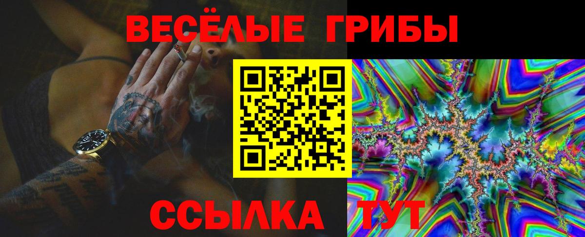 Псилоцибиновые грибы GOLDEN TEACHER Серов